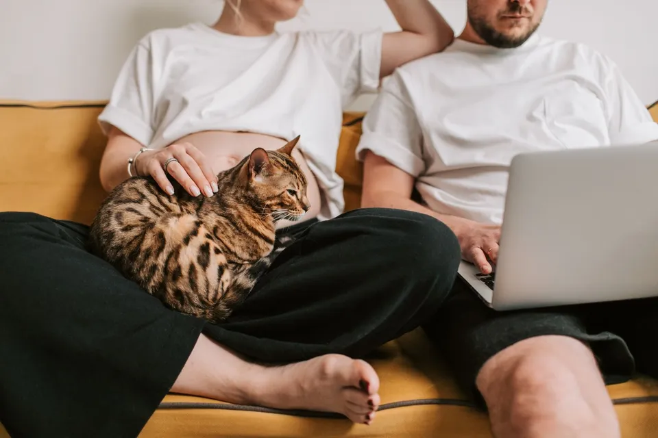 A pregnant woman holding a Bengal cat sits on a yellow couch next to her partner, who has a laptop open